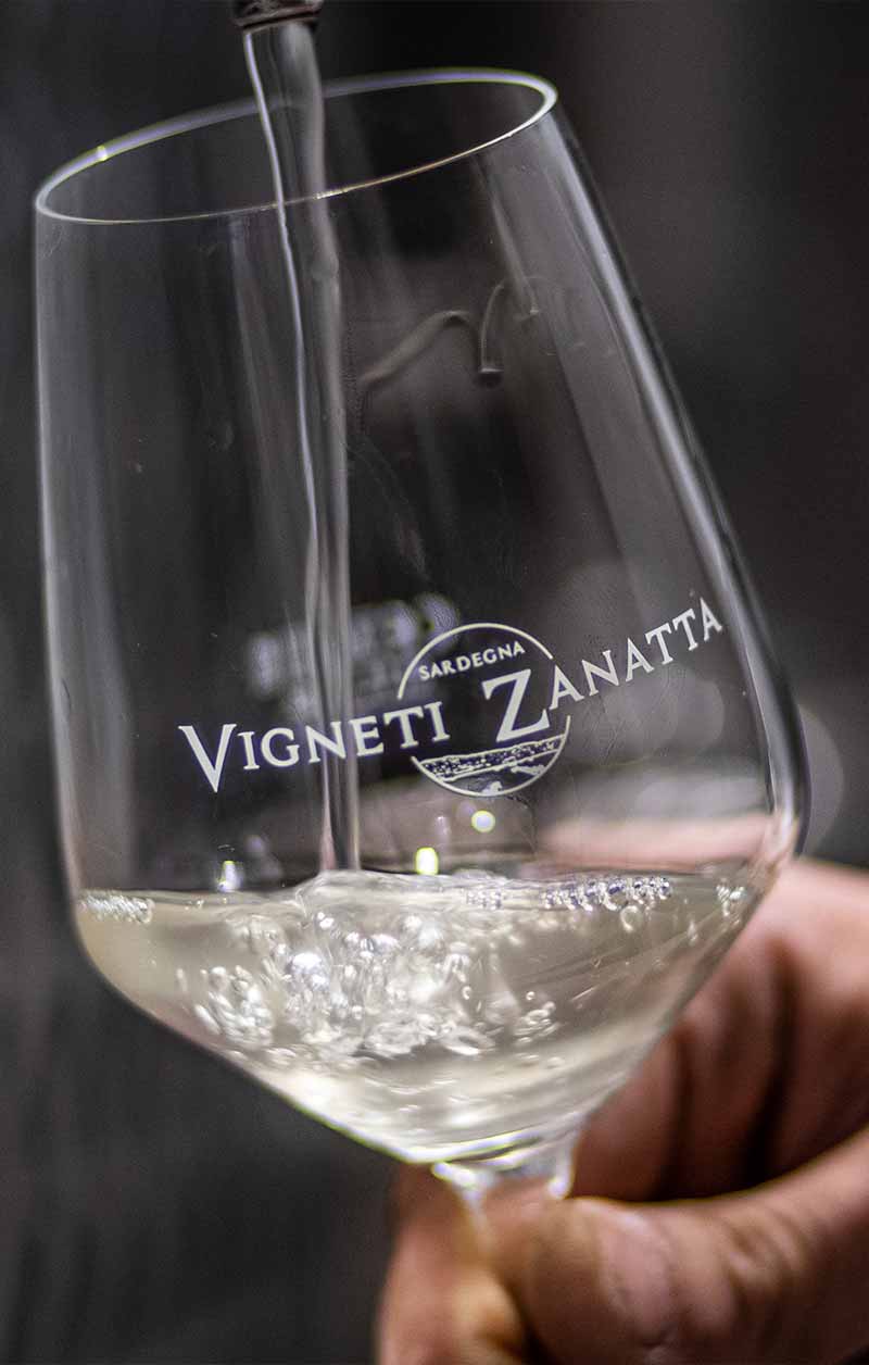 home-page-vigneti-zanatta-4-slideshow-1